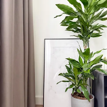 Astra Lux - Galerija Na Vodi - Waterfront Apartmán Bělehrad